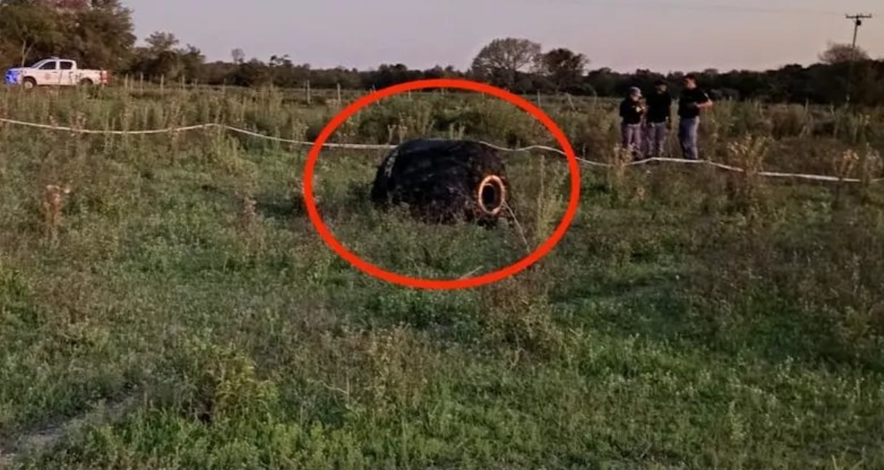 gokyuzunden tuylu bir cisim firlayarak koyun ortasina dustu goren soke oluyor MjdM1hNu