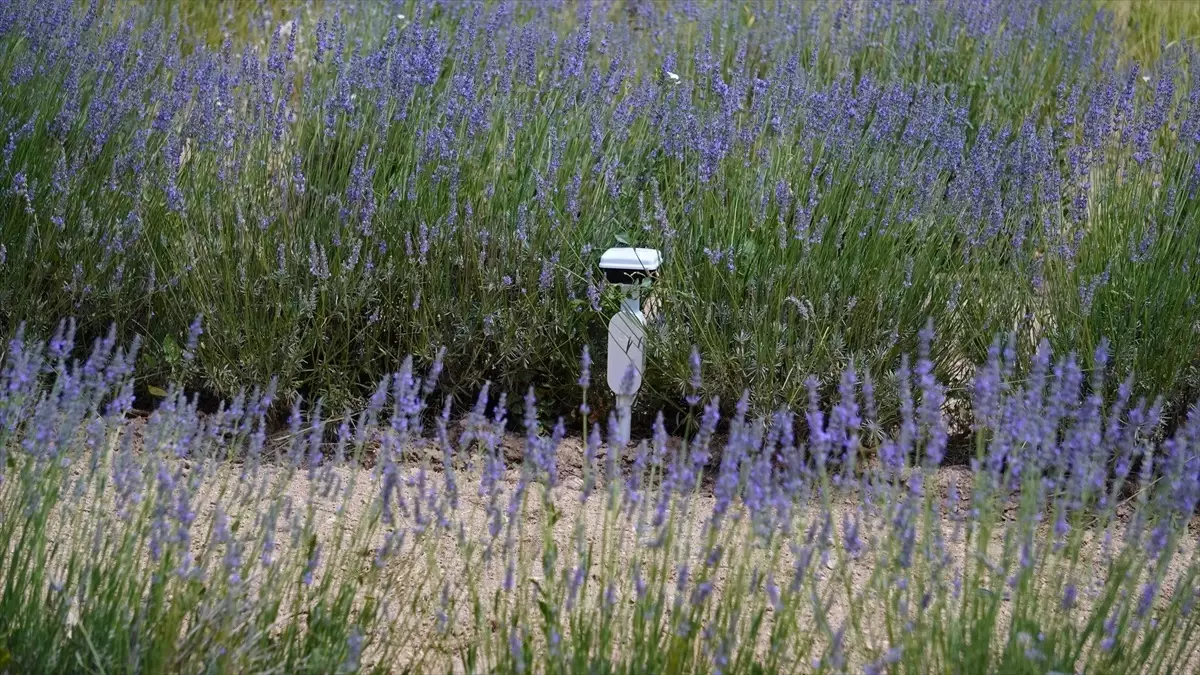turkiyede ilk leo uydu iletisim yetkilendirmesi qKEAWsvc