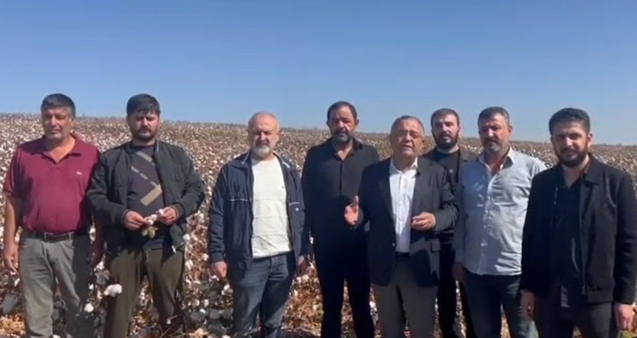 chpli tanrikulu destek verilmezse pamuk uretimi sifira dusecek 1TrZYIbN.jpg