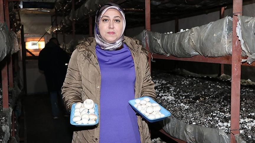 devlet destegiyle kurdugu tesiste 75 ton mantar uretiyor g5qBbX8r.jpg