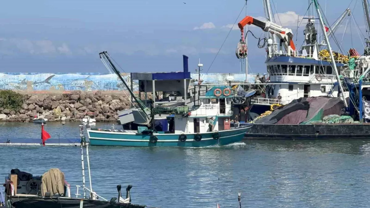hamsi avinda beklenen bereket gelmedi fPgYS4MM
