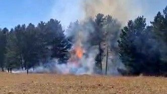 sarikamista orman yangini q7rY3QUz.jpg