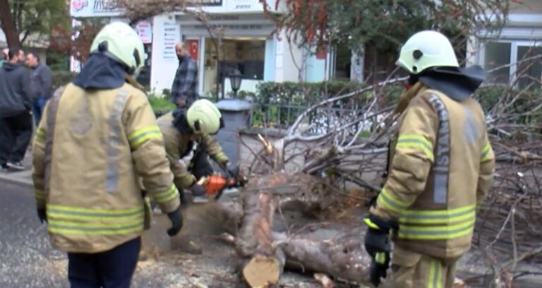 kadikoyde-seyir-halindeki-cipin-uzerine-agac-devrildi-UtSVE2ZB.jpg