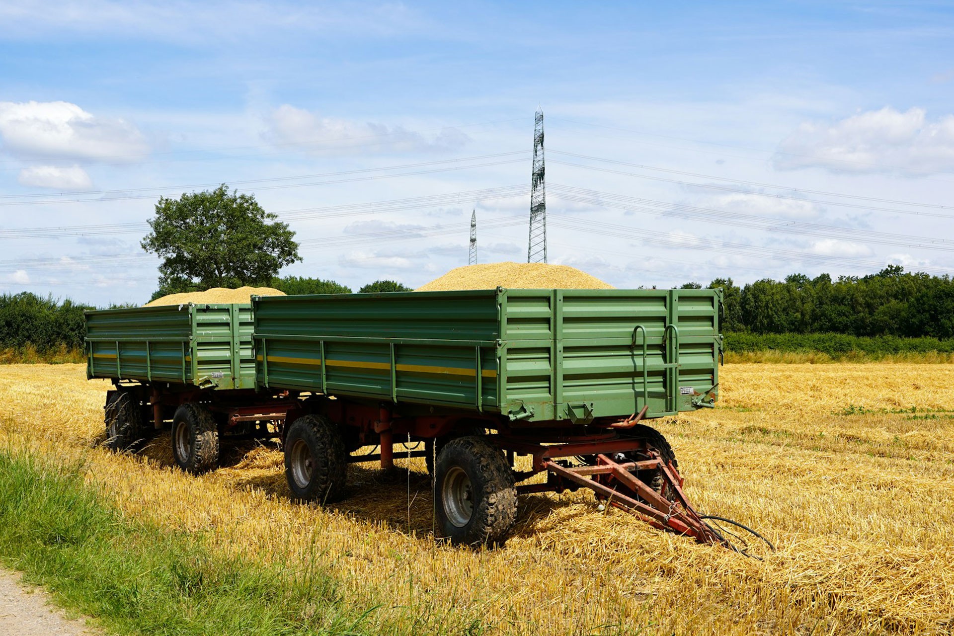 Tarımda Girdi Enflasyonu Hızla Artıyor: Tarım-GFE Kasım Ayında Yıllık %34,24 Arttı