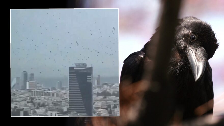 Tel Aviv’de Kargaların Sırrı: Kötü İşaretler mi?