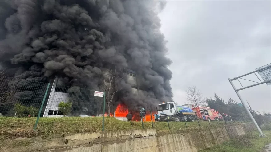 Arsin’deki Fındık Fabrikasında Yangın Çıktı