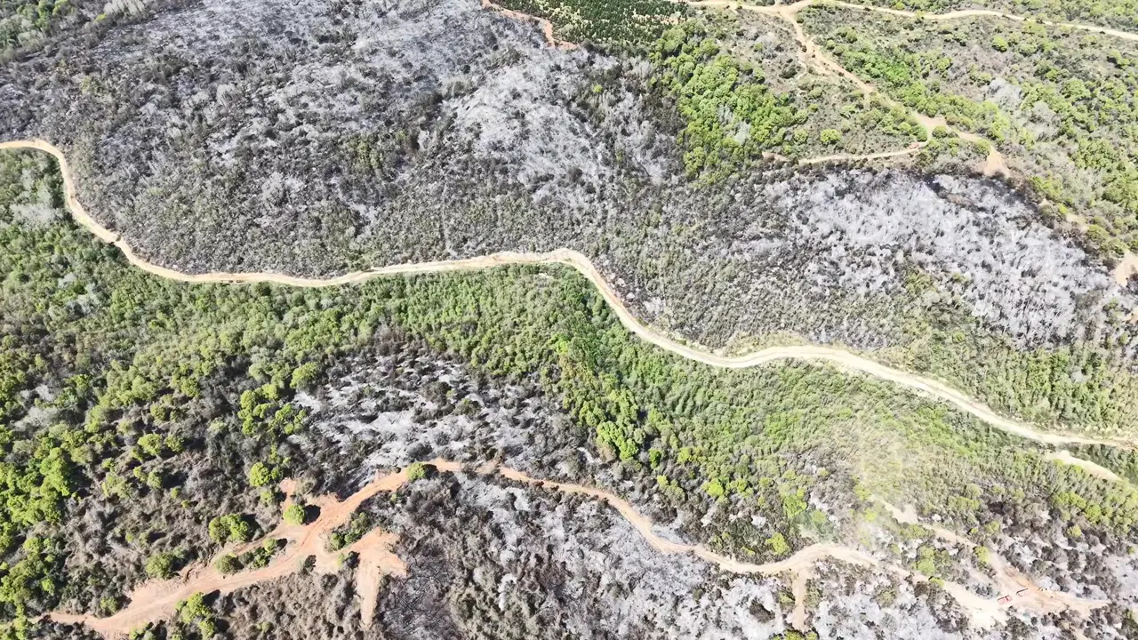 Beykoz’da Orman Yangını: Hava Görüntüleriyle Zarar Gören Alanlar Belgelendi